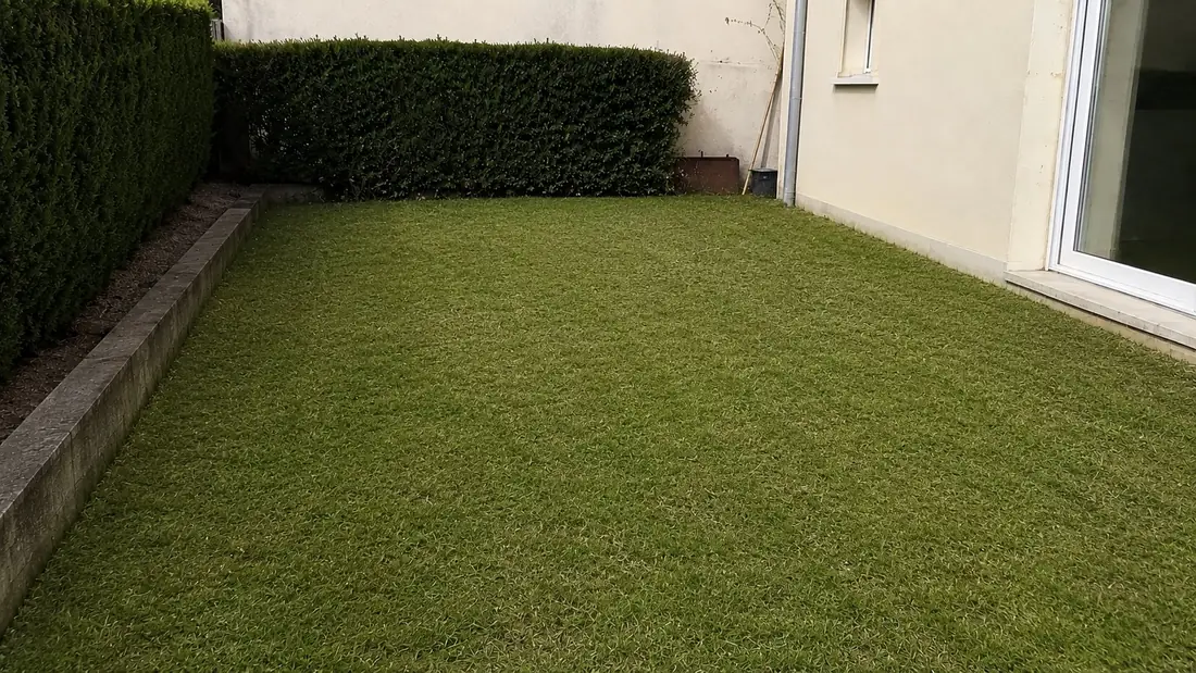 Jardins après nettoyage