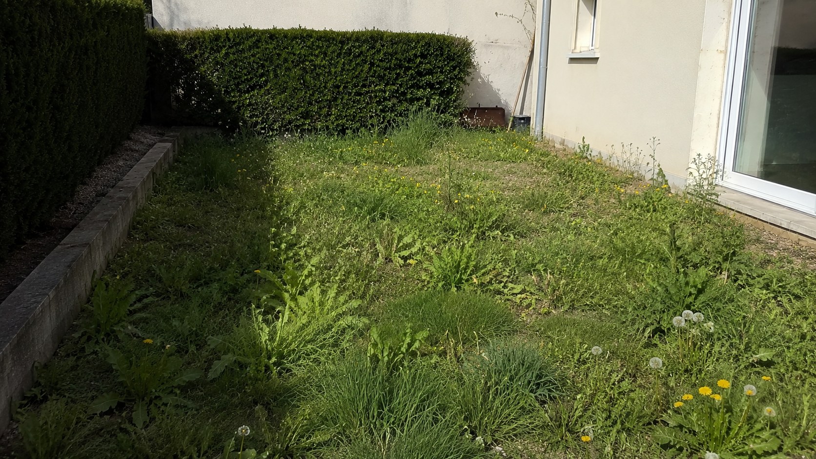 Jardins avant nettoyage