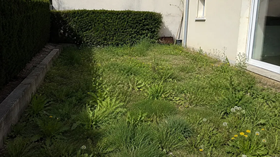 Jardins avant nettoyage